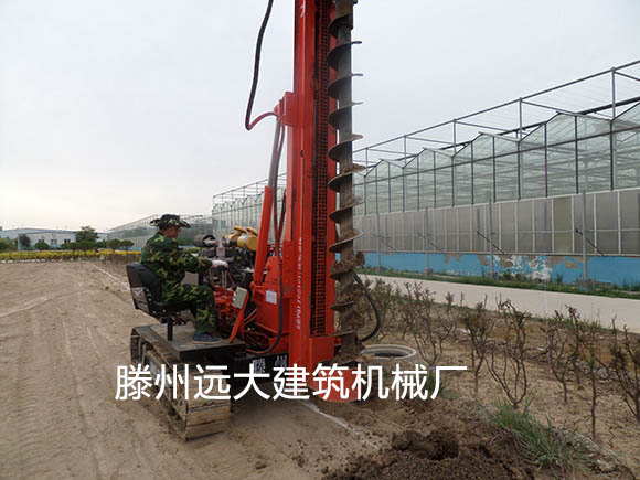 麻豆视频免费视频国产一级片麻豆视频